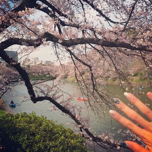 1024免费永久福利视频
